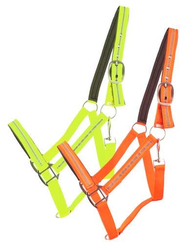 Showman Supporto in nylon foderato in neoprene riflettente - Foto 2 di 4