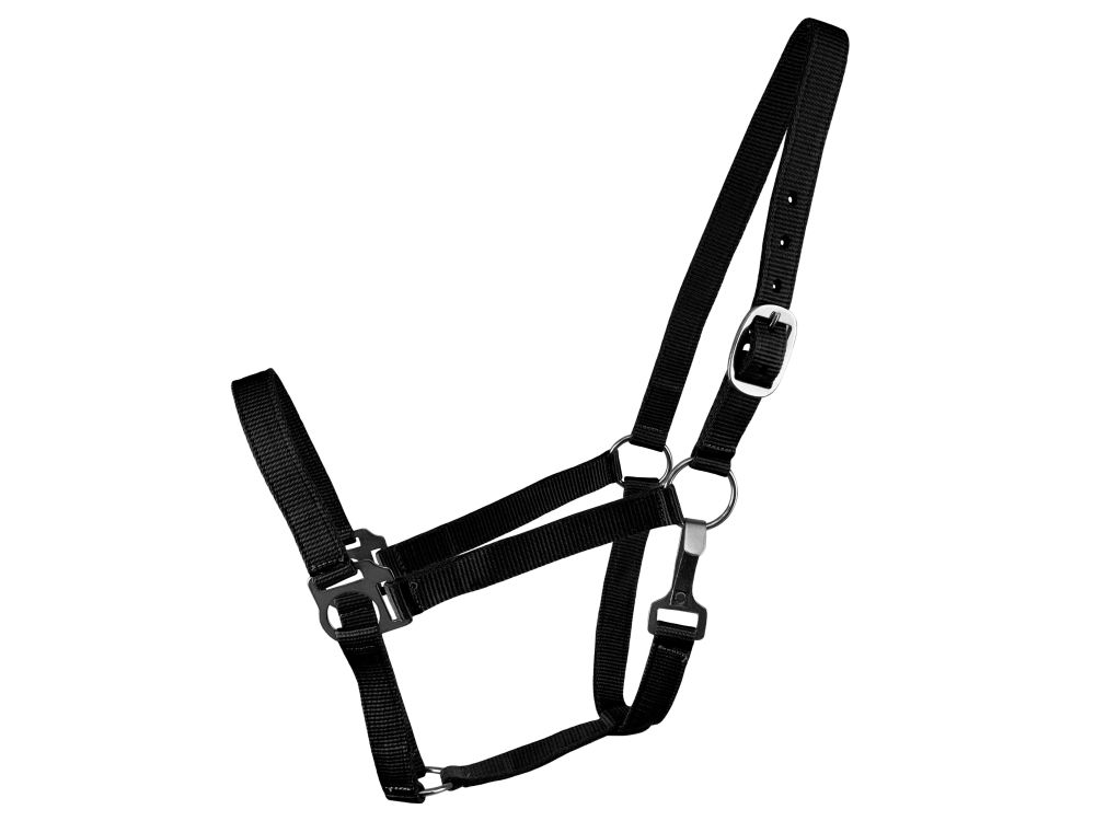 Supporto pannocchia nylon 2 strati - Foto 3 di 8