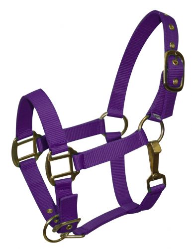 Ponygröße verstellbarer dreilagiger Nylonneckholder mit Messingbeschlägen - Bild 7 von 9