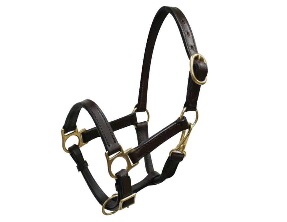 Piccolo supporto in pelle pony/svezzamento con ferramenta in ottone - Foto 4 di 4