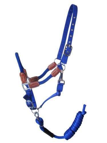 Showman Nylon Neckholder mit Lederakzenten & abnehmbarem 8' Bleiseil - Bild 4 von 6
