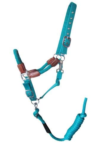 Showman Nylon Neckholder mit Lederakzenten & abnehmbarem 8' Bleiseil - Bild 6 von 6