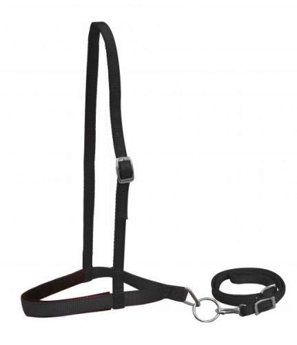 Showman Pony Size Premium Nylon Noseband Tie Down w/ Strap - Picture 3 of 7