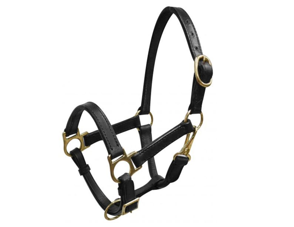 Piccolo supporto in pelle pony/svezzamento con ferramenta in ottone - Foto 2 di 4