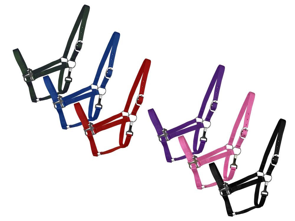Supporto pannocchia nylon 2 strati - Foto 2 di 8