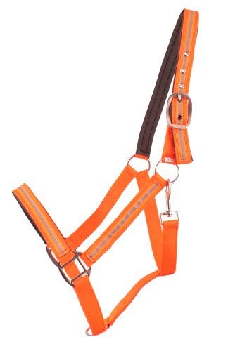 Showman Supporto in nylon foderato in neoprene riflettente - Foto 3 di 4