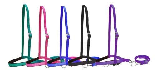 Showman Pony Size Premium Nylon Noseband Tie Down w/ Strap - Picture 2 of 7