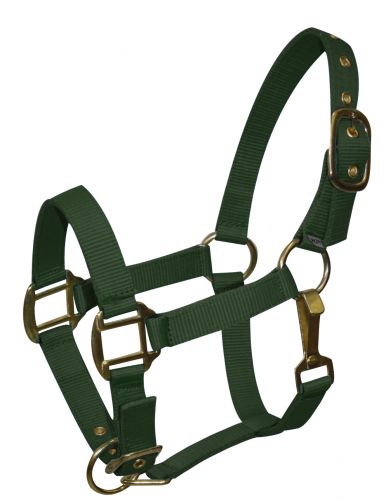 Ponygröße verstellbarer dreilagiger Nylonneckholder mit Messingbeschlägen - Bild 5 von 9