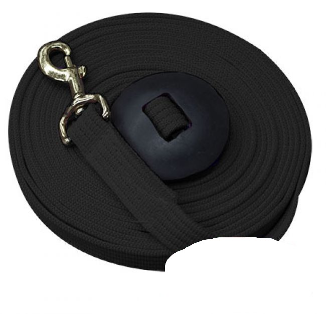 Showman 25' Flat Cotton Web Lunge Line w/ Brass Snap - Picture 3 of 8