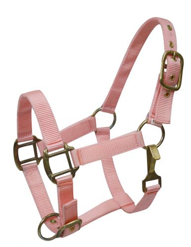 Ponygröße verstellbarer dreilagiger Nylonneckholder mit Messingbeschlägen - Bild 6 von 9