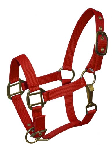 Ponygröße verstellbarer dreilagiger Nylonneckholder mit Messingbeschlägen - Bild 8 von 9