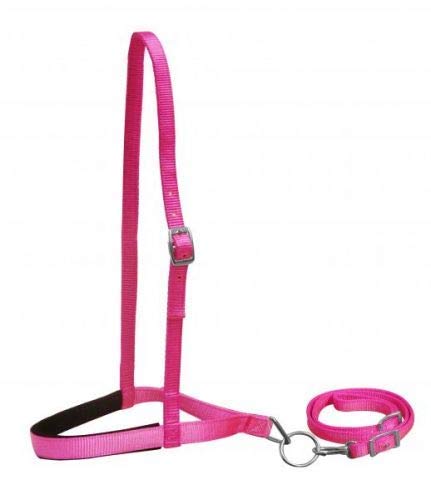 Showman Pony Size Premium Nylon Noseband Tie Down w/ Strap - Picture 5 of 7
