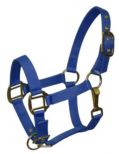 Ponygröße verstellbarer dreilagiger Nylonneckholder mit Messingbeschlägen - Bild 4 von 9