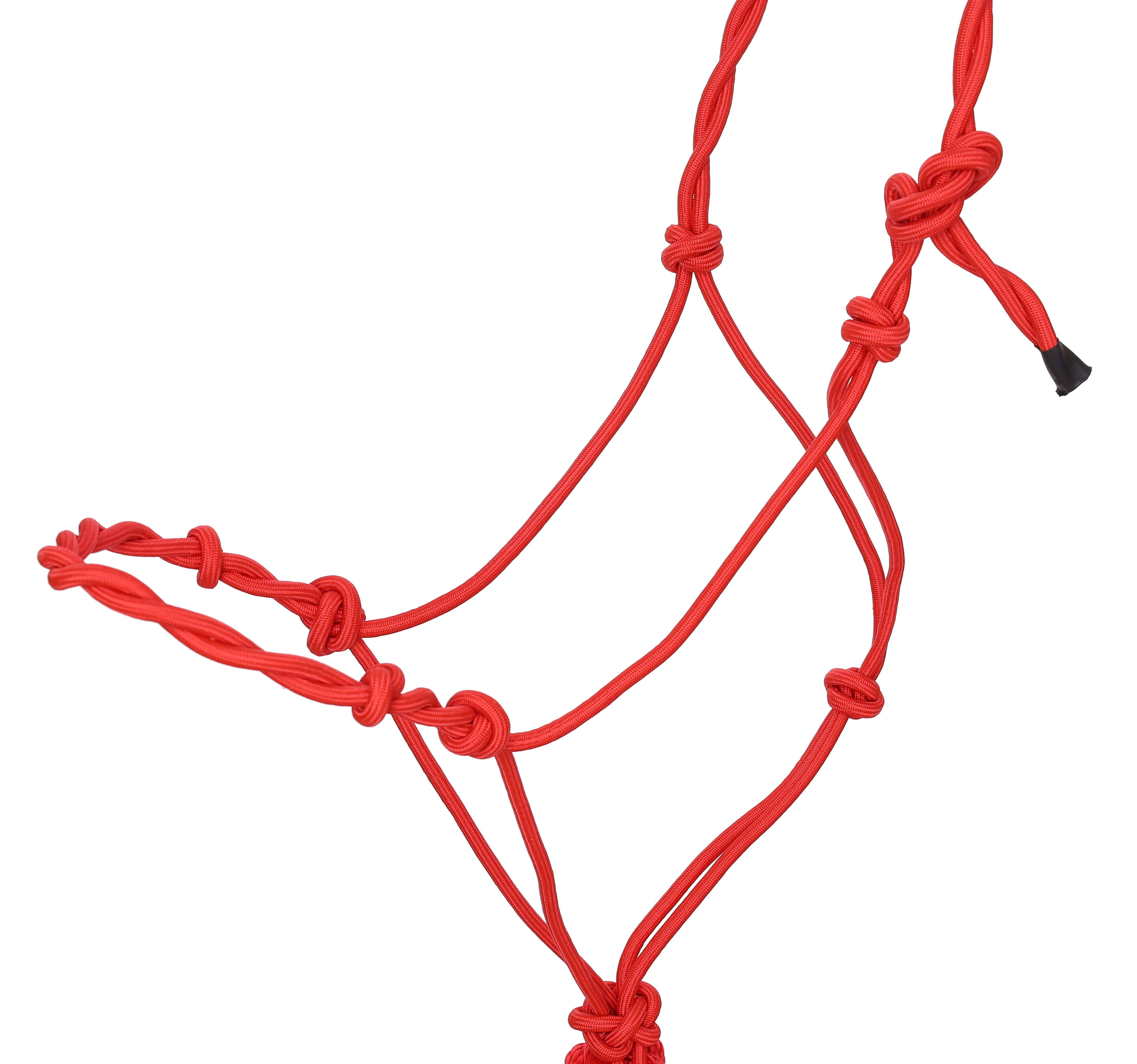 Draft Size Twisted Cowboy Knot Halter w/ 10' Lead - Picture 7 of 7