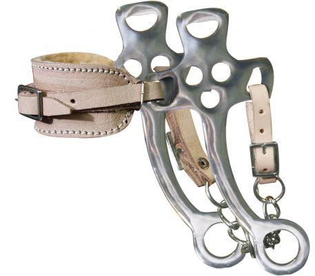 Showman Vlies gefüttert Hackamore mit 7 1/2" Edelstahlwangen - Bild 2 von 3