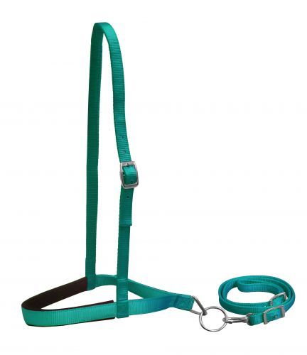 Showman Pony Size Premium Nylon Noseband Tie Down w/ Strap - Picture 7 of 7