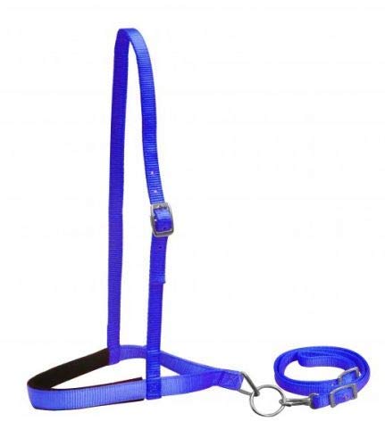 Showman Pony Size Premium Nylon Noseband Tie Down w/ Strap - Picture 4 of 7