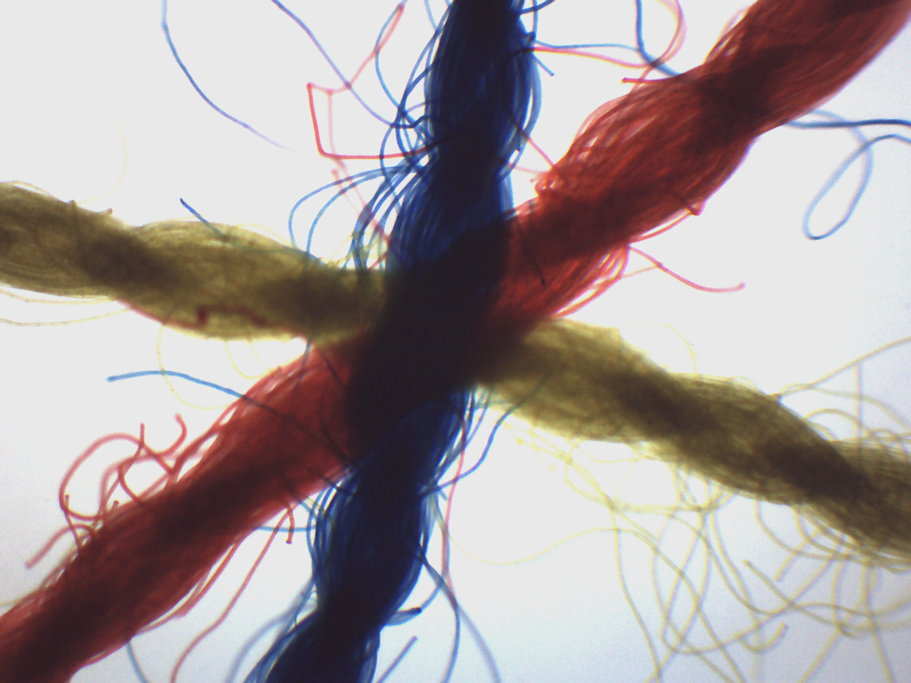 Crossed Colored Threads Prepared Microscope Slide 75x25mm Eisco Labs Ebay