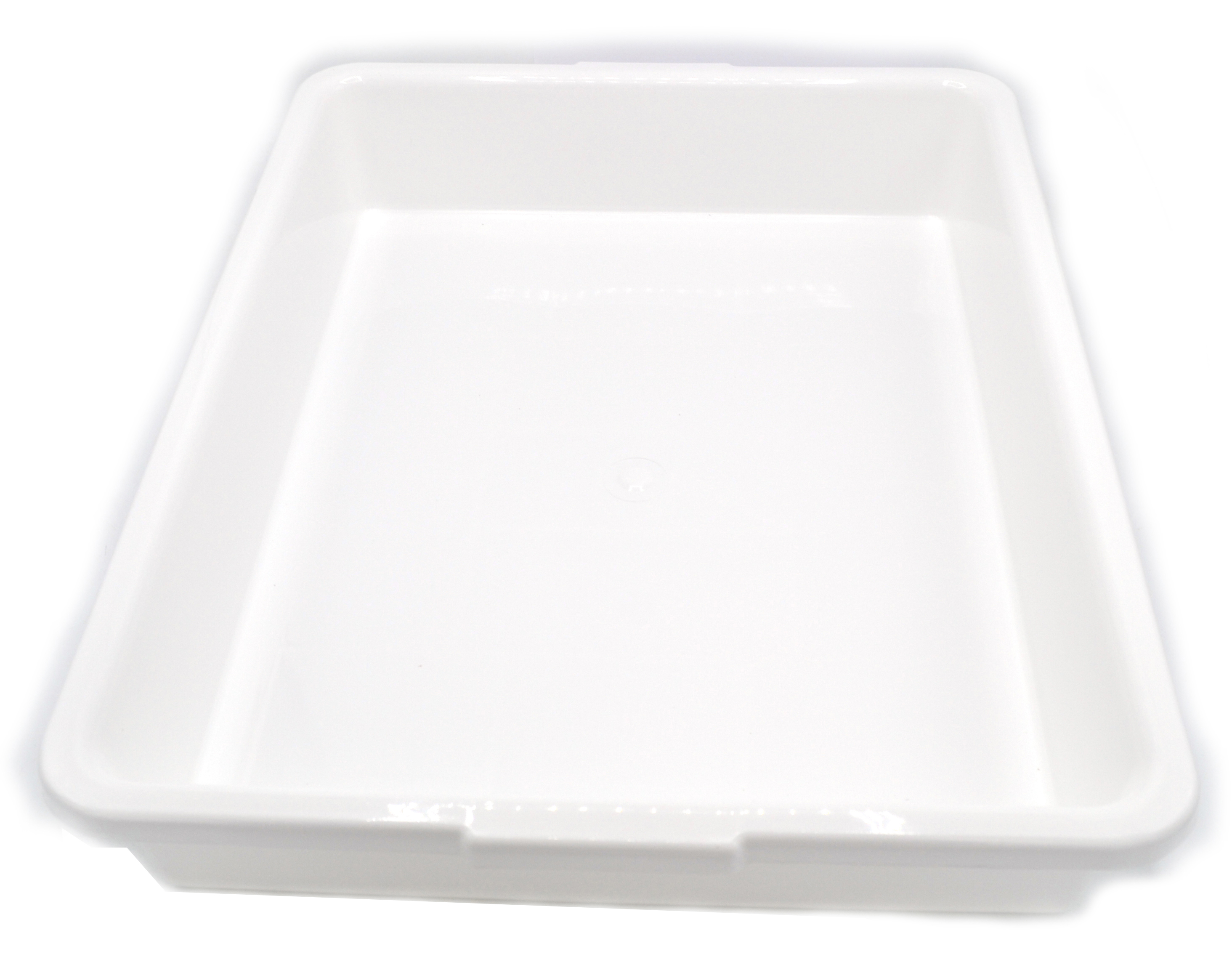 Stainless Steel SALE Shell Gastro Tray CA 33,5 x 23,5 x 1 cm Plate 86