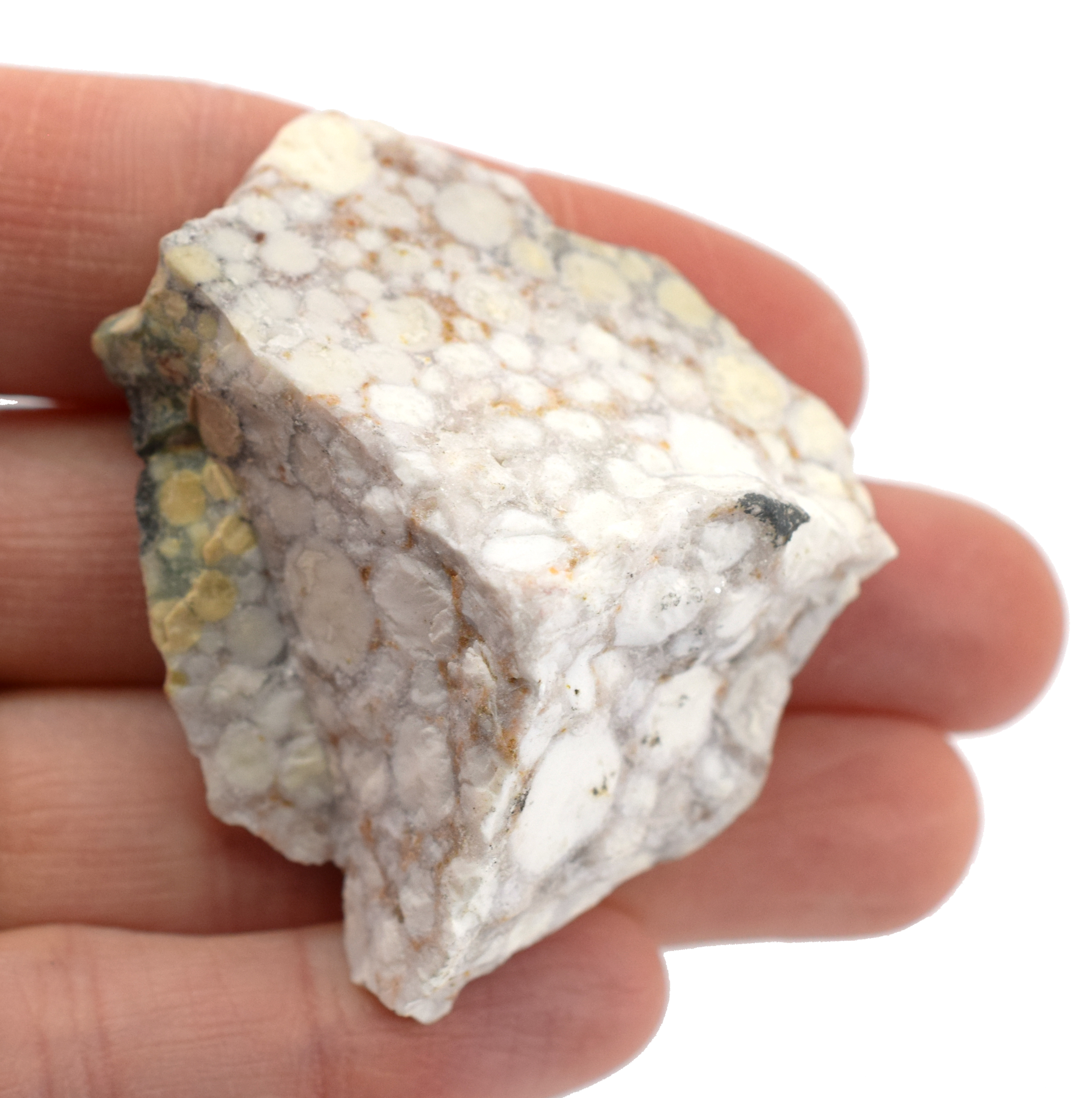 6PK Raw Conglomerate Rock Specimens, 1" - Geologist Selected Samples - Eisco