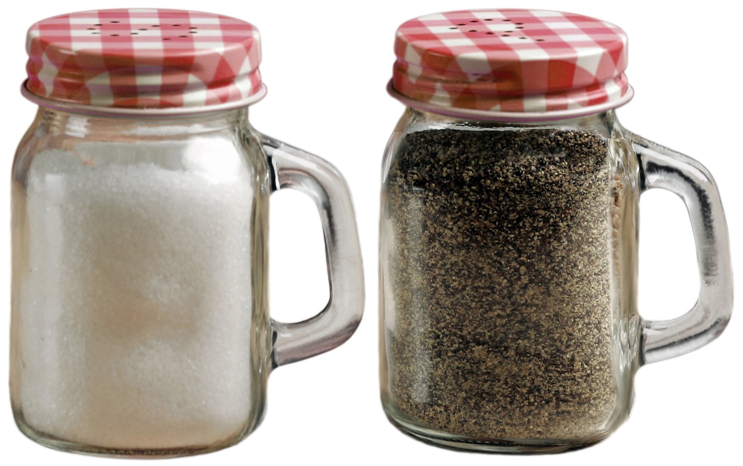 Circleware Mini Mason Jar Mug Glass Salt & Pepper Shakers 704572667431