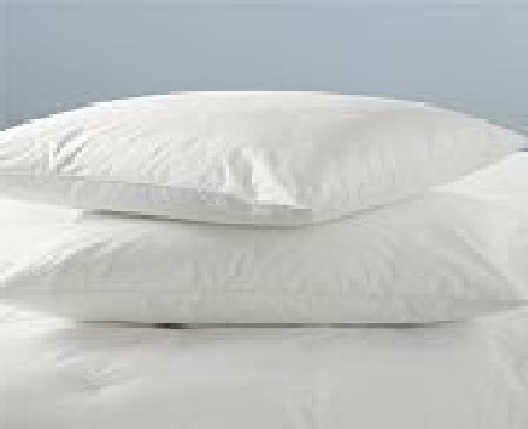 best western dream maker pillow