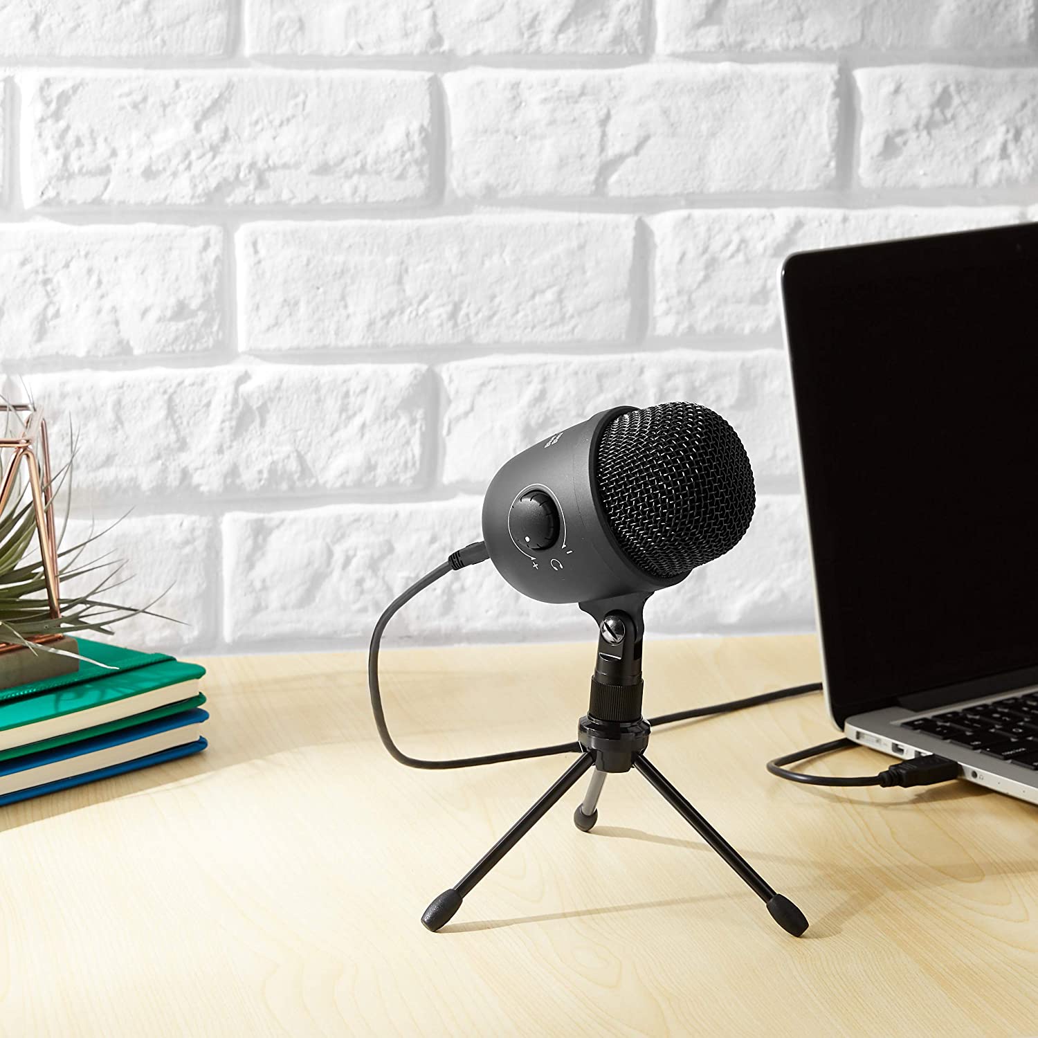 microphone volume reset to 0 microphone volume reset to 0