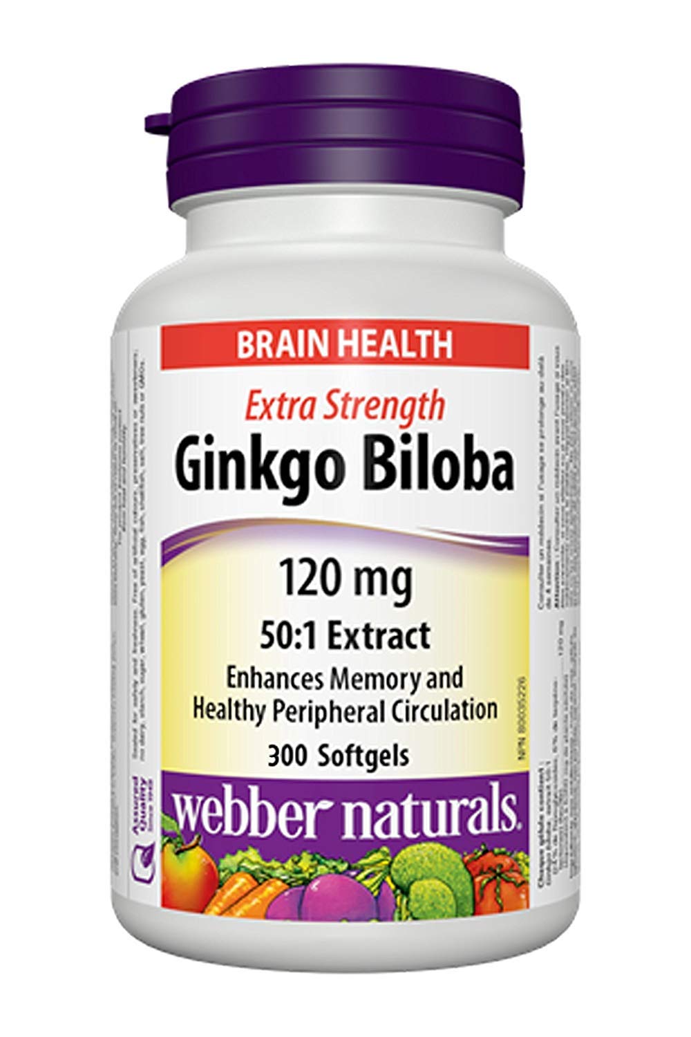ber Naturals Ginkgo Biloba Extra Strength 120mg 300softgel 625273051827 eBay
