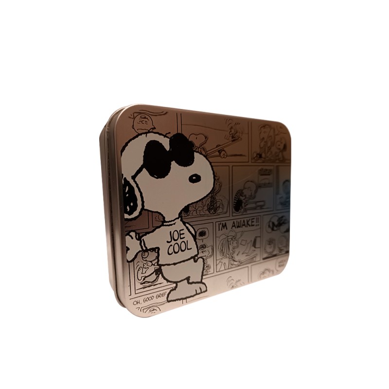 Peanuts Joe Cool and Comics Bifold Wallet in a Decorative