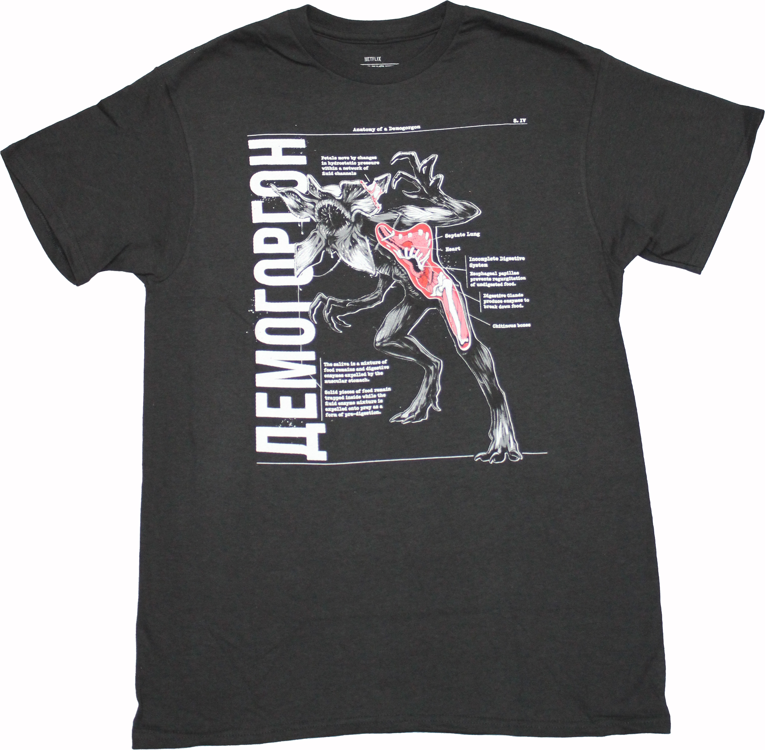 Stranger Things New Adult T-Shirt - Anatomy of a Demogorgon | eBay