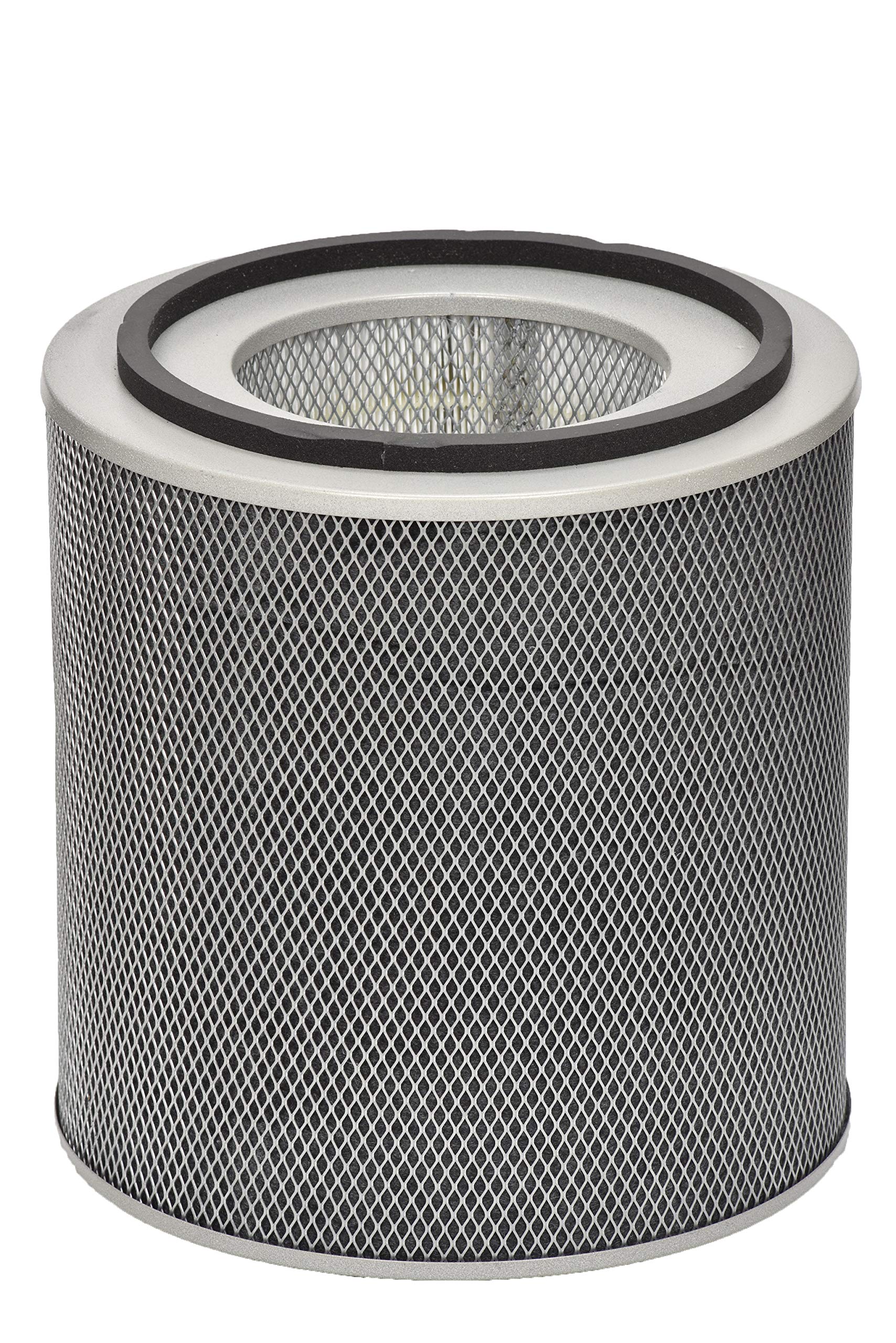 Austin Air FR410A Replacement Filter - Thumbnail 2