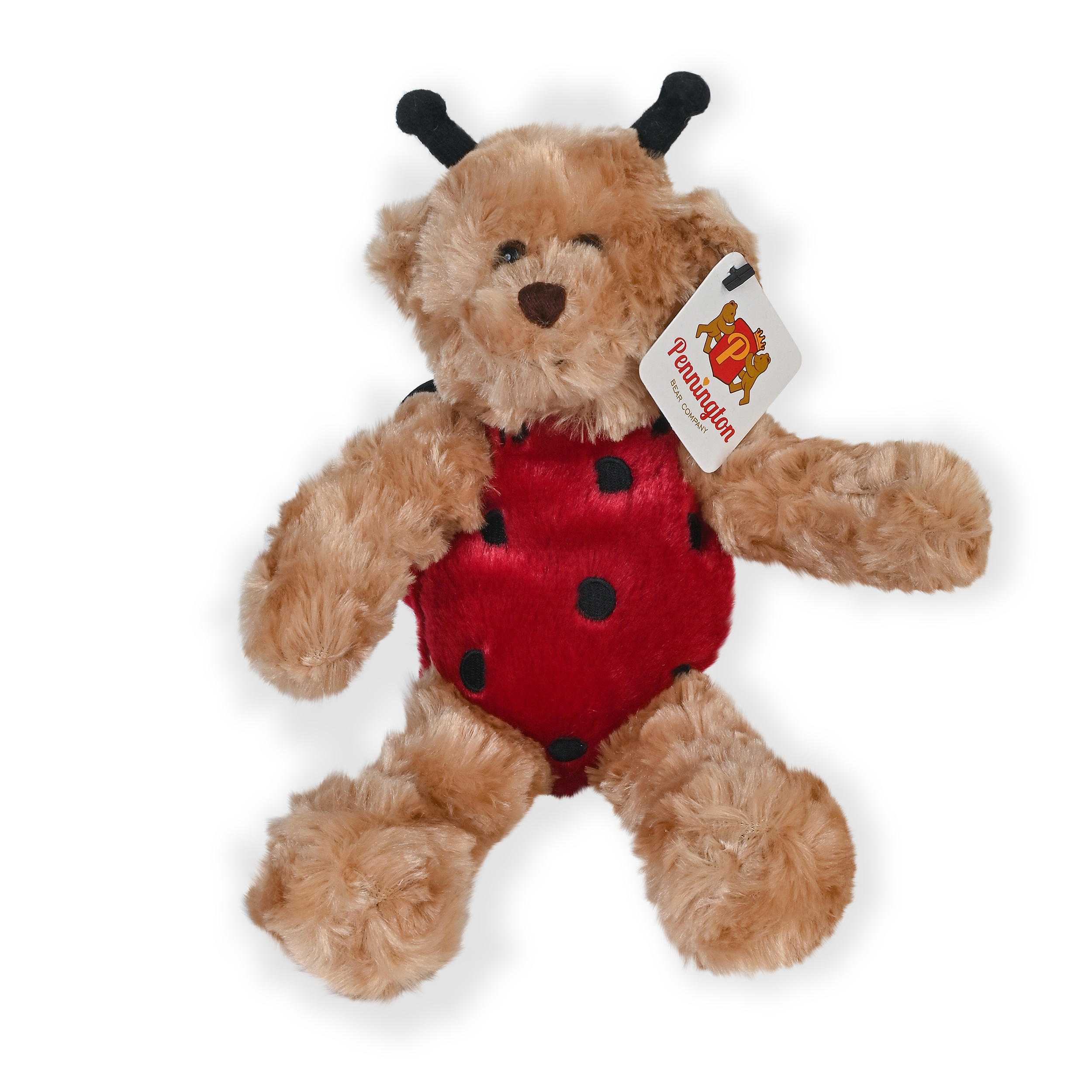 Pennington Bear Company klassisches Kostüm Teddybär Plüsch, Marienkäfer, 10 Zoll - Bild 1 von 5