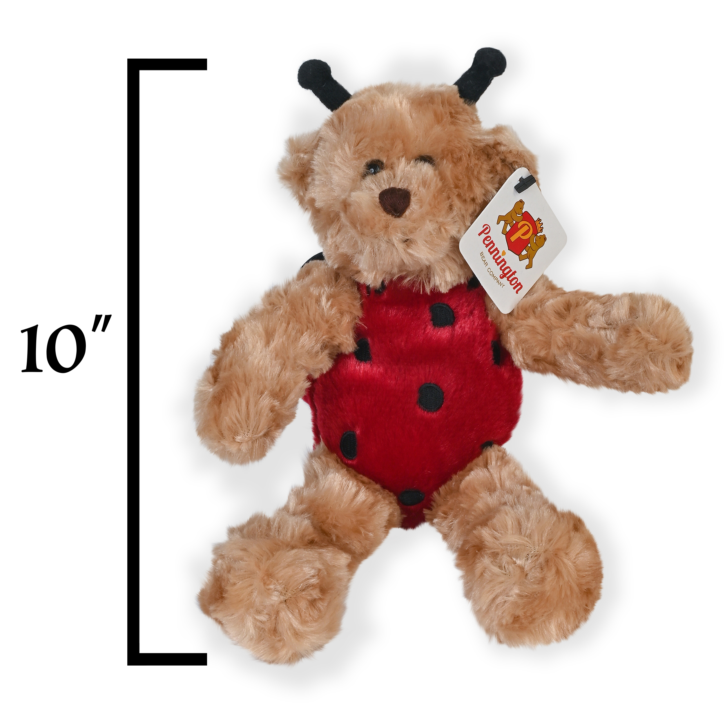 Pennington Bear Company klassisches Kostüm Teddybär Plüsch, Marienkäfer, 10 Zoll - Bild 3 von 5