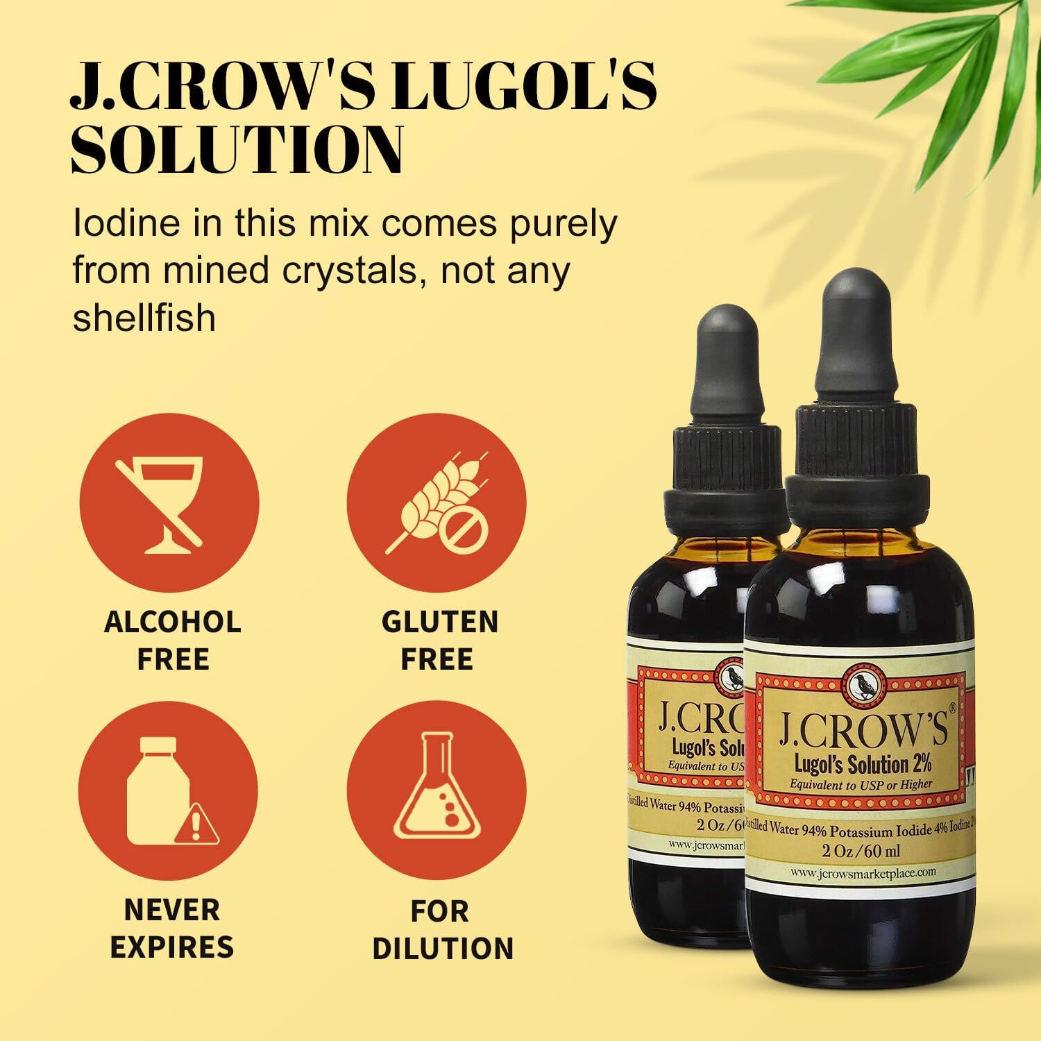 J.CROW'S Lugol's Solution Iodine 2 Percent Thyroid Support and Energy 2 fl oz - Picture 4 of 5