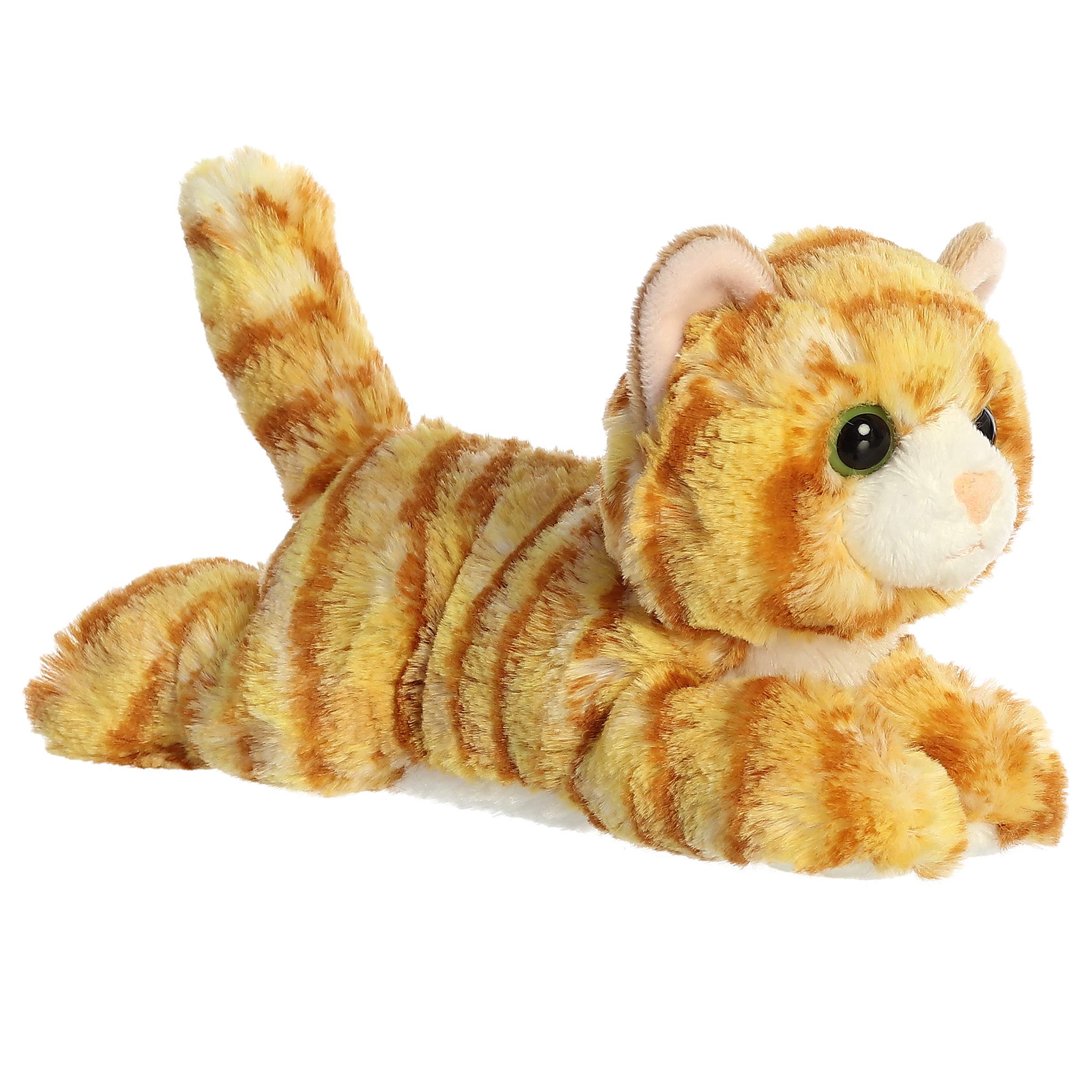 cat teddy toy