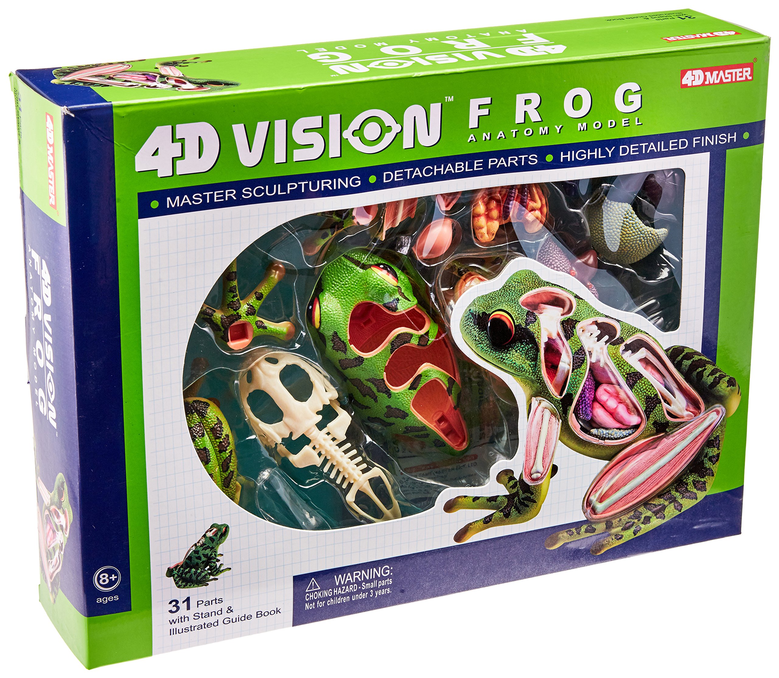 4D Vision Frog